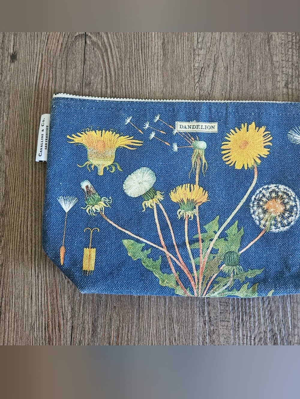 Cavallini & Co. Dandelion Floral Canvas Zip Pouch